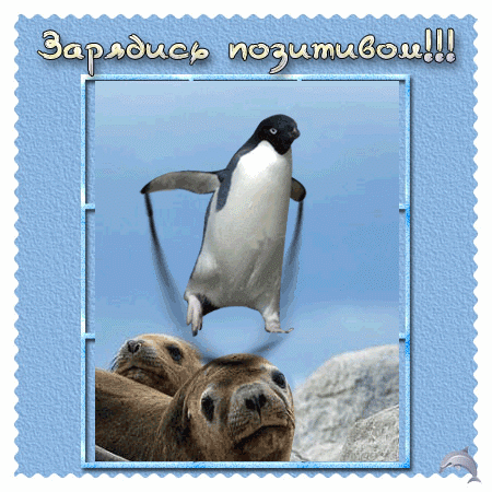 https://upforme.ru/uploads/001c/87/08/3/593609.gif