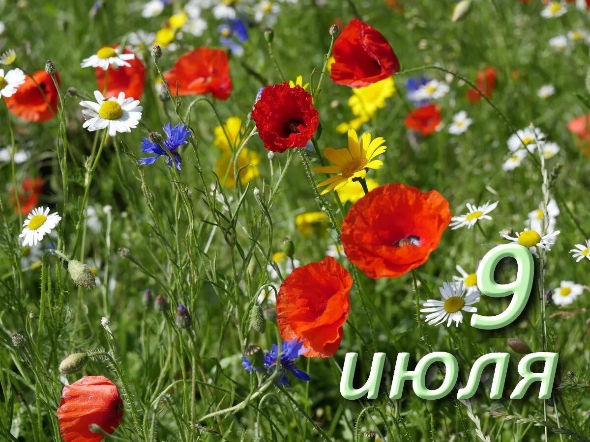 https://upforme.ru/uploads/001c/87/08/3/602113.jpg
