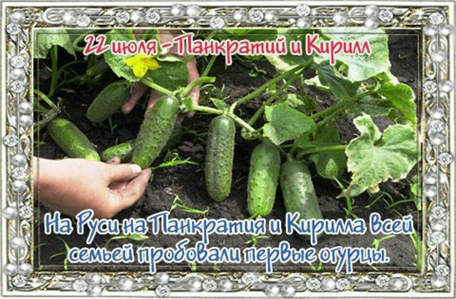 https://upforme.ru/uploads/001c/87/08/3/612233.jpg