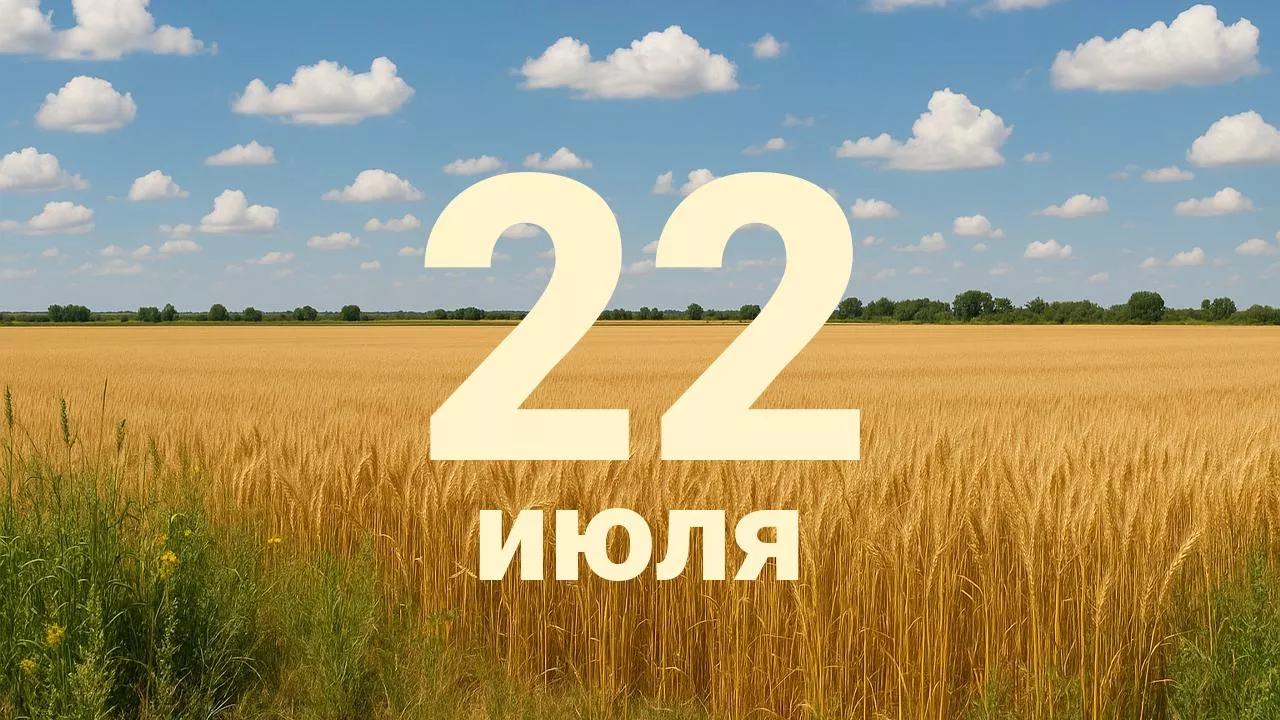 https://upforme.ru/uploads/001c/87/08/3/613378.webp