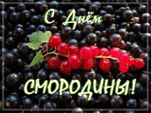 https://upforme.ru/uploads/001c/87/08/3/619369.jpg