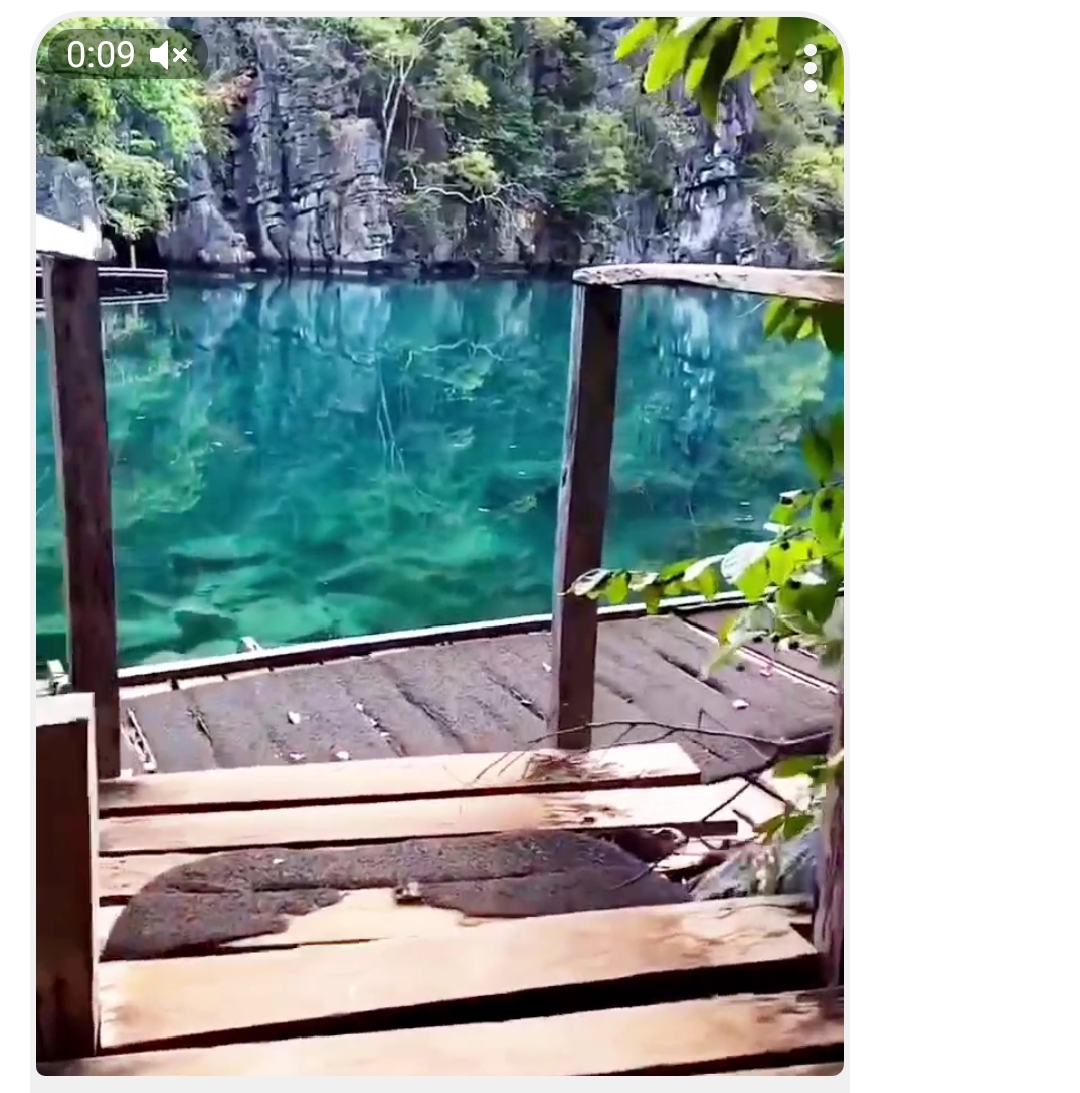 https://upforme.ru/uploads/001c/87/08/3/629285.jpg