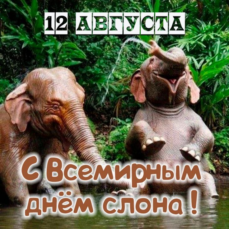 https://upforme.ru/uploads/001c/87/08/3/630070.jpg