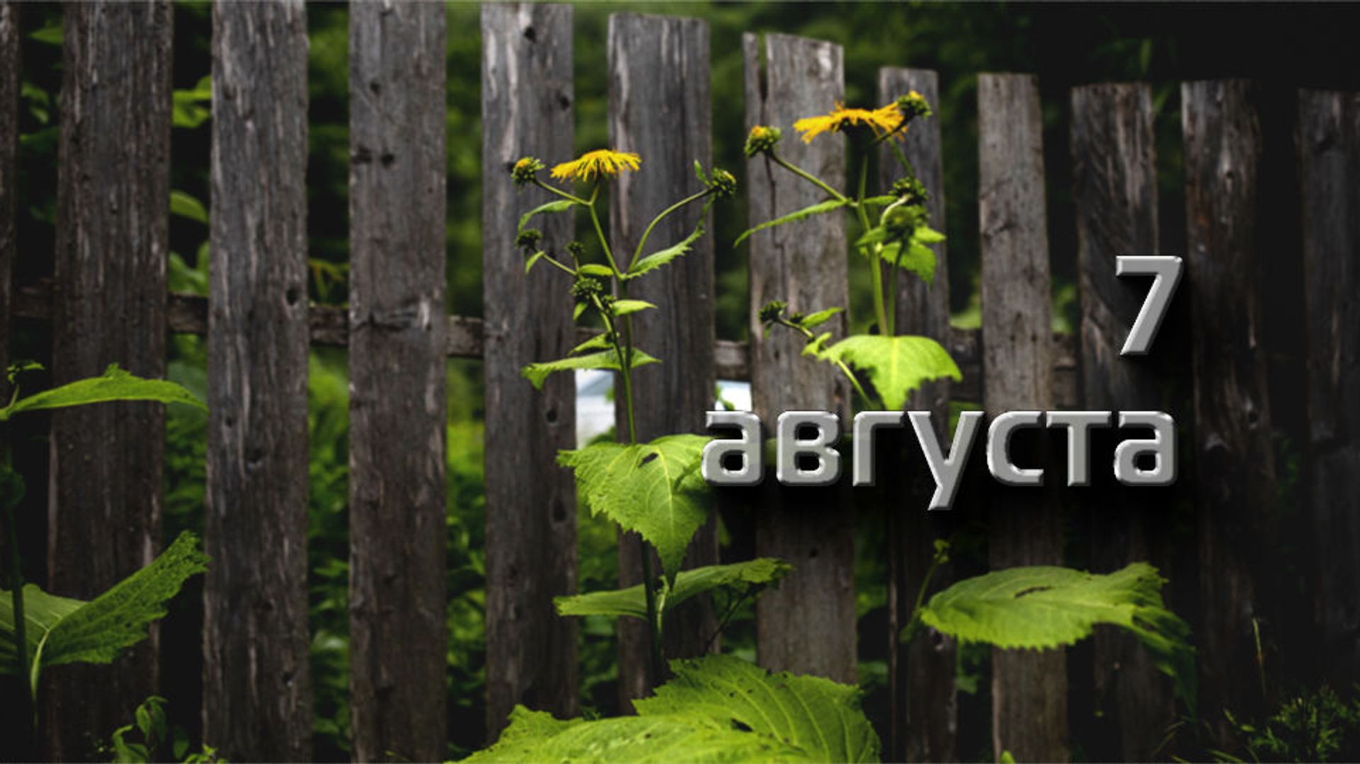 https://upforme.ru/uploads/001c/87/08/3/63223.jpg