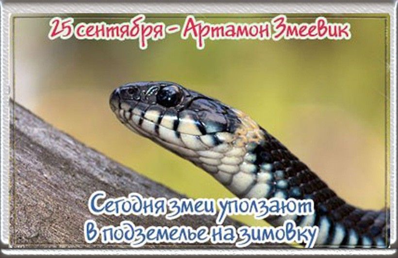 https://upforme.ru/uploads/001c/87/08/3/649814.jpg
