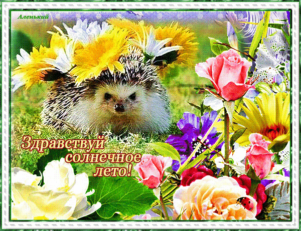 https://upforme.ru/uploads/001c/87/08/3/652262.gif
