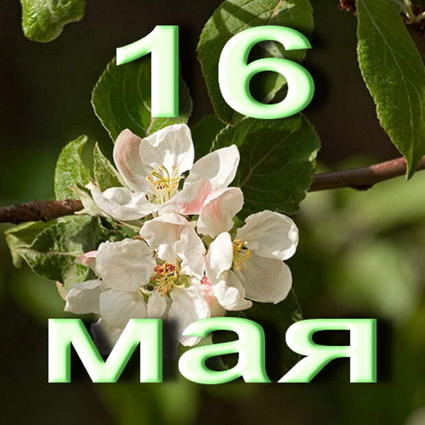 https://upforme.ru/uploads/001c/87/08/3/654808.jpg