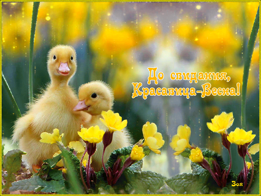 https://upforme.ru/uploads/001c/87/08/3/655911.gif