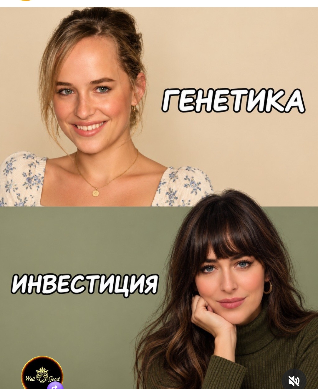 https://upforme.ru/uploads/001c/87/08/3/658311.jpg