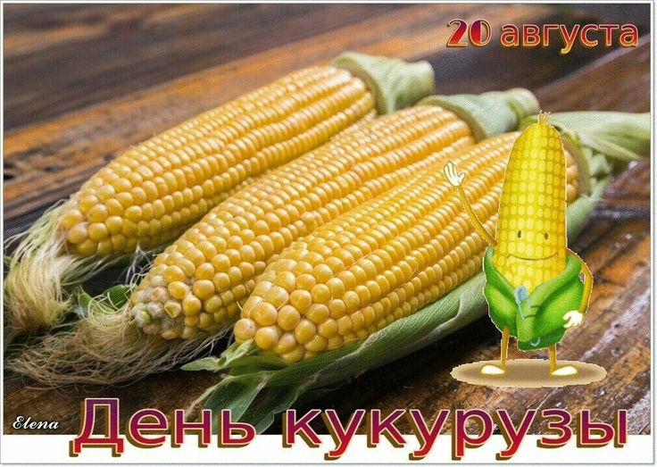 https://upforme.ru/uploads/001c/87/08/3/665370.jpg
