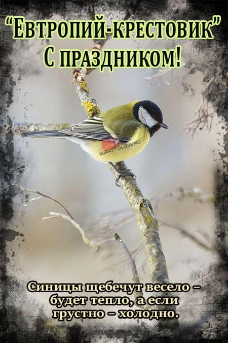 https://upforme.ru/uploads/001c/87/08/3/678449.jpg