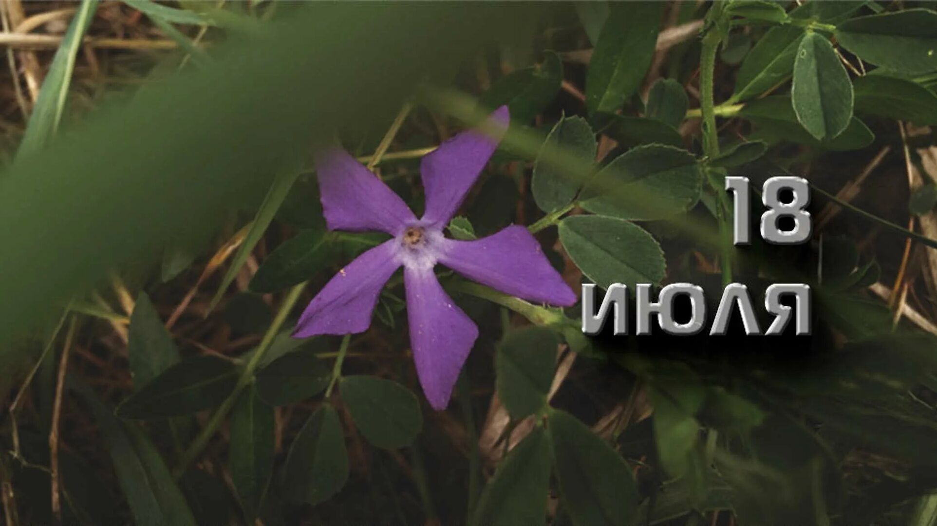 https://upforme.ru/uploads/001c/87/08/3/679709.jpg