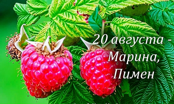 https://upforme.ru/uploads/001c/87/08/3/679901.jpg