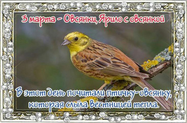https://upforme.ru/uploads/001c/87/08/3/681170.jpg