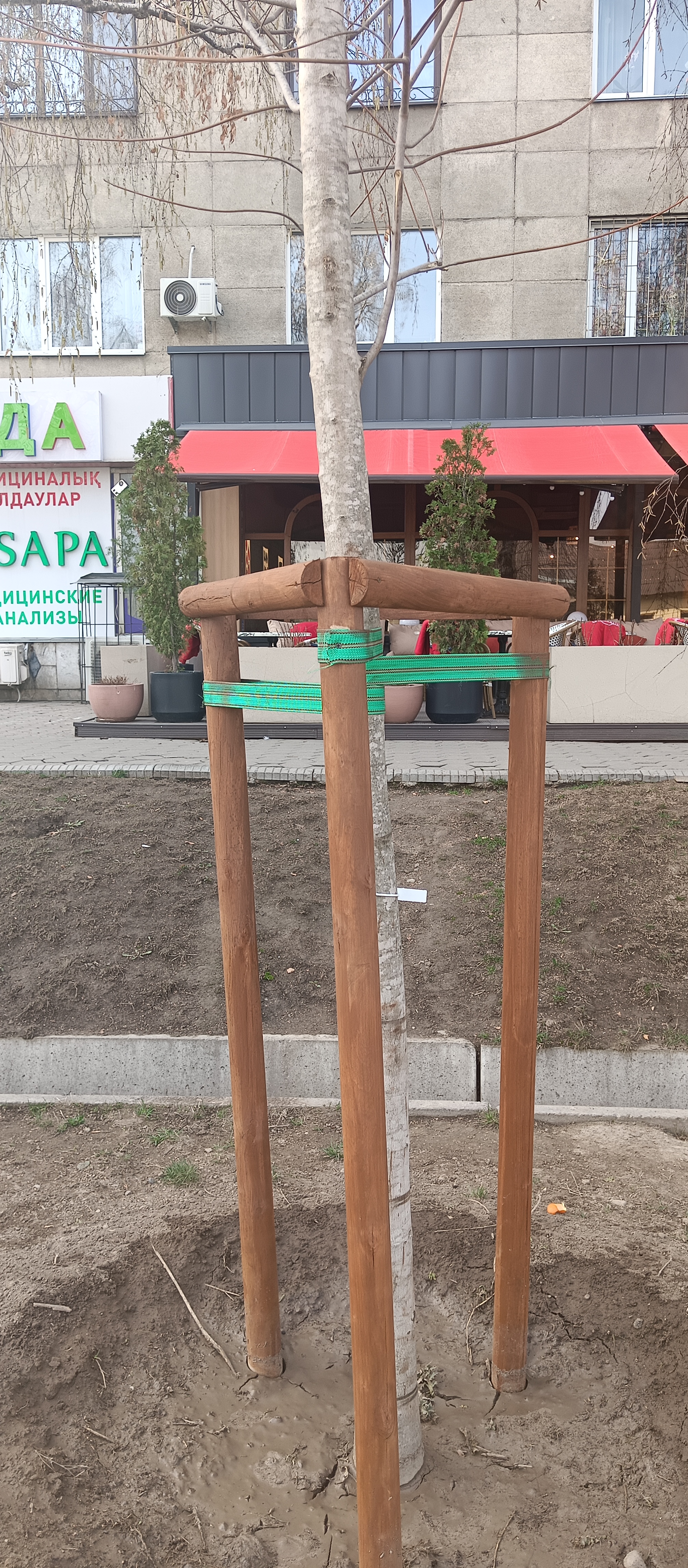 https://upforme.ru/uploads/001c/87/08/3/693509.jpg