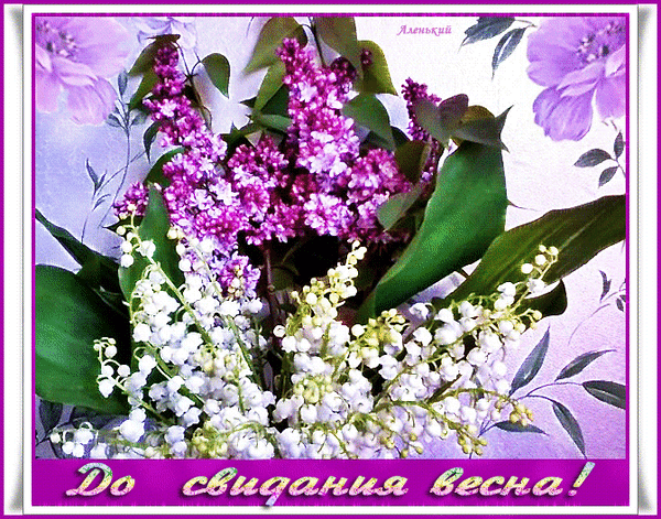 https://upforme.ru/uploads/001c/87/08/3/694572.gif