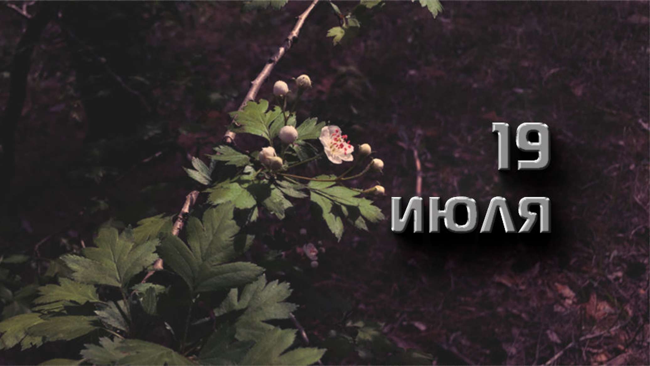 https://upforme.ru/uploads/001c/87/08/3/695904.jpg