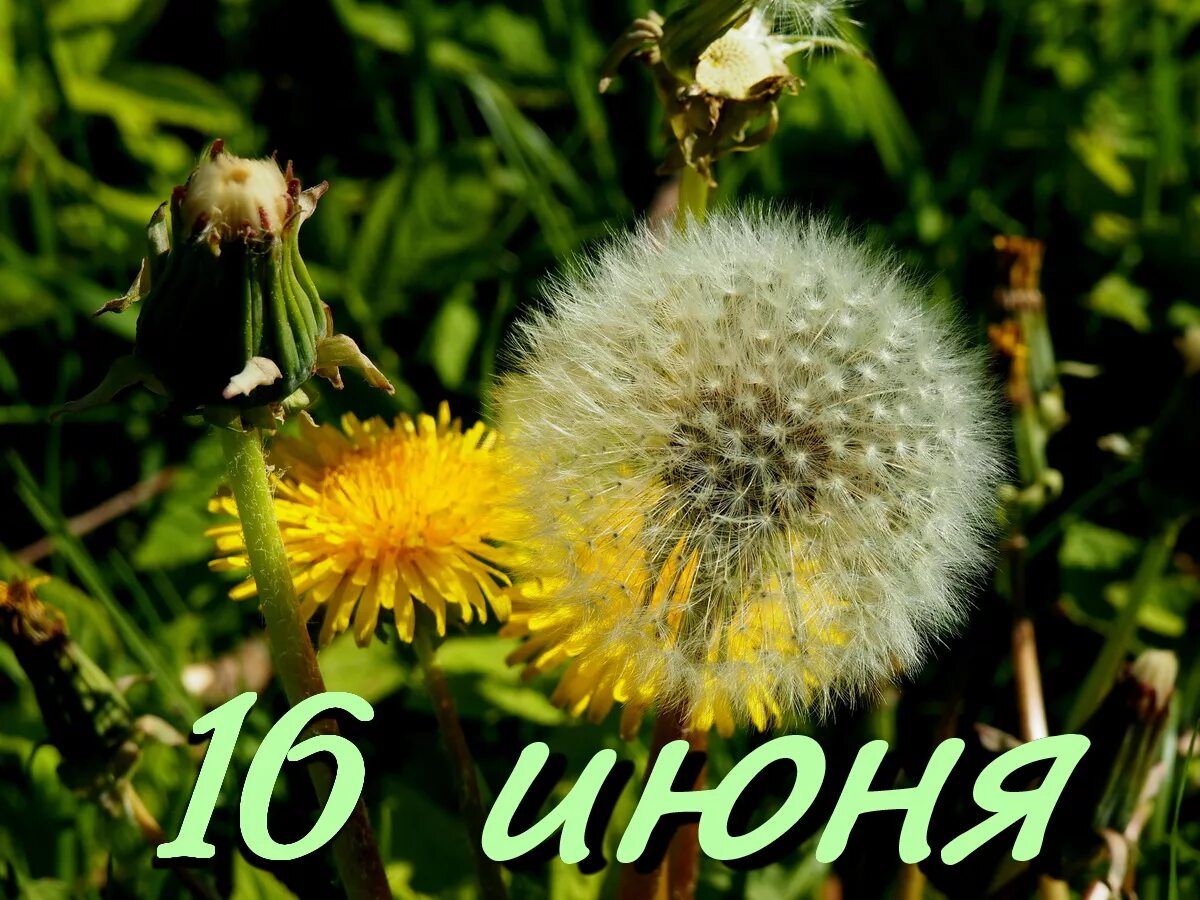https://upforme.ru/uploads/001c/87/08/3/699310.jpg