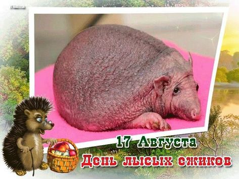 https://upforme.ru/uploads/001c/87/08/3/706187.jpg