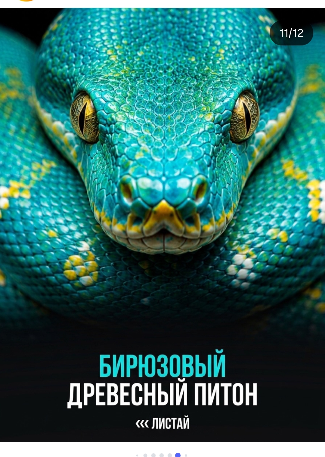 https://upforme.ru/uploads/001c/87/08/3/708488.jpg