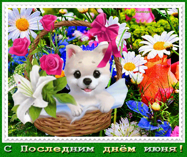 https://upforme.ru/uploads/001c/87/08/3/709675.gif