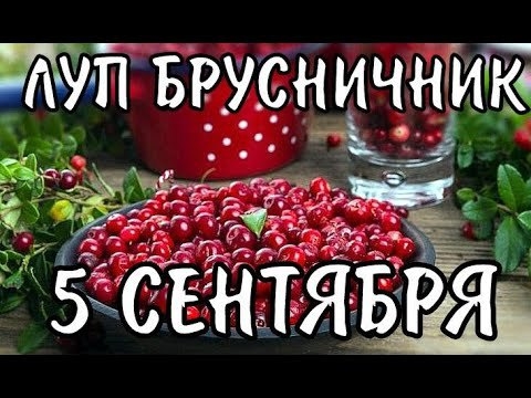 https://upforme.ru/uploads/001c/87/08/3/713833.jpg