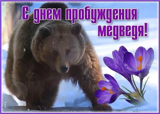 https://upforme.ru/uploads/001c/87/08/3/715320.jpg