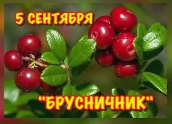 https://upforme.ru/uploads/001c/87/08/3/724680.jpg