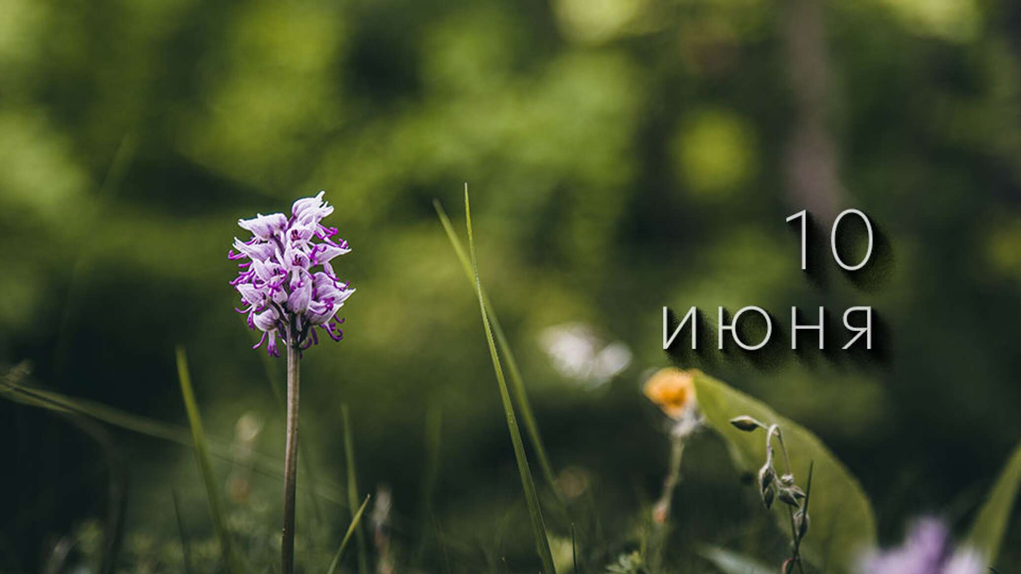 https://upforme.ru/uploads/001c/87/08/3/725780.jpg