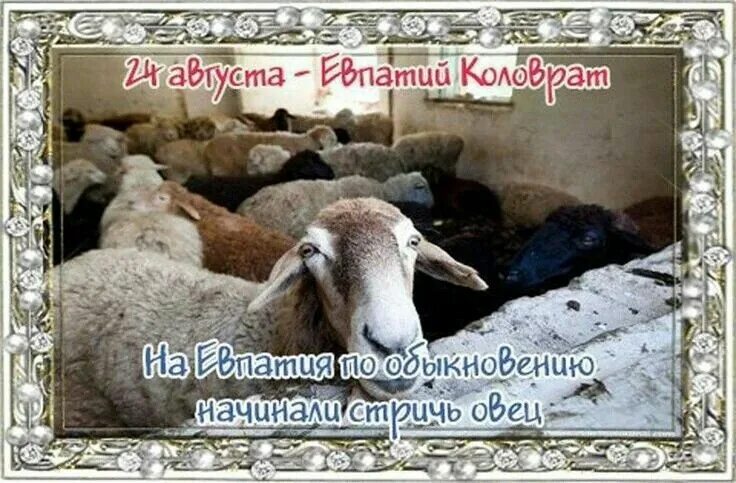 https://upforme.ru/uploads/001c/87/08/3/729081.jpg