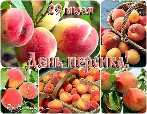 https://upforme.ru/uploads/001c/87/08/3/745271.jpg