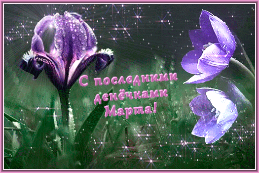 https://upforme.ru/uploads/001c/87/08/3/749915.gif