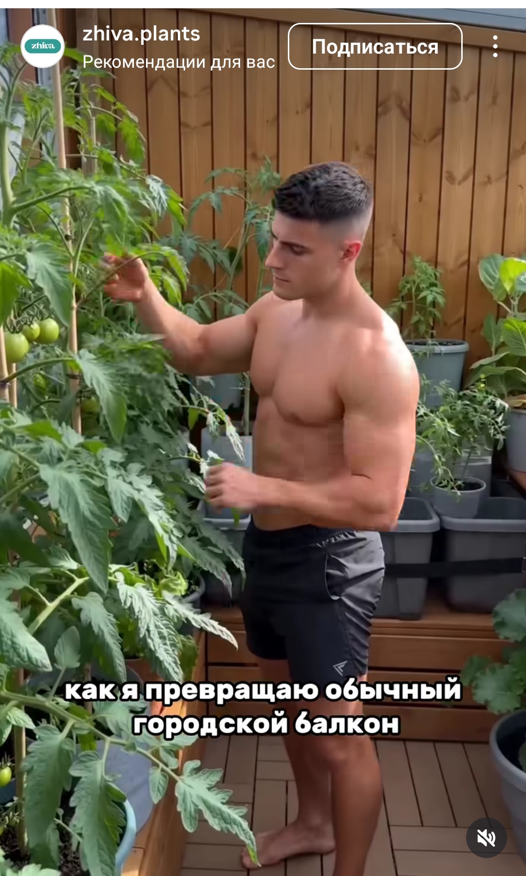 https://upforme.ru/uploads/001c/87/08/3/753109.jpg