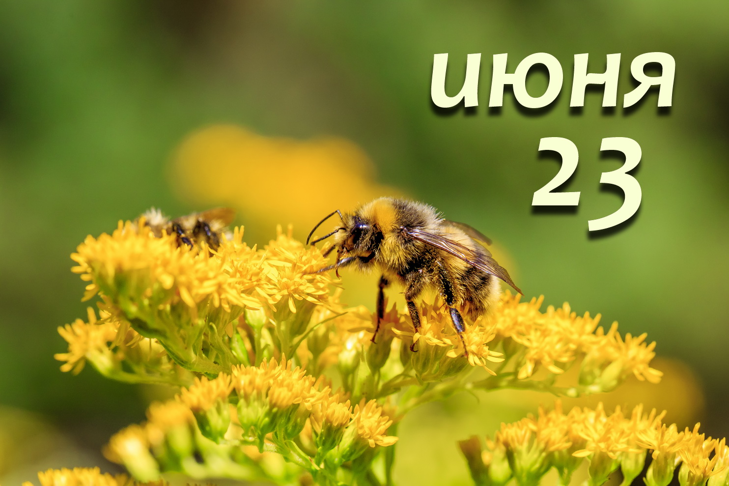 https://upforme.ru/uploads/001c/87/08/3/755939.jpg
