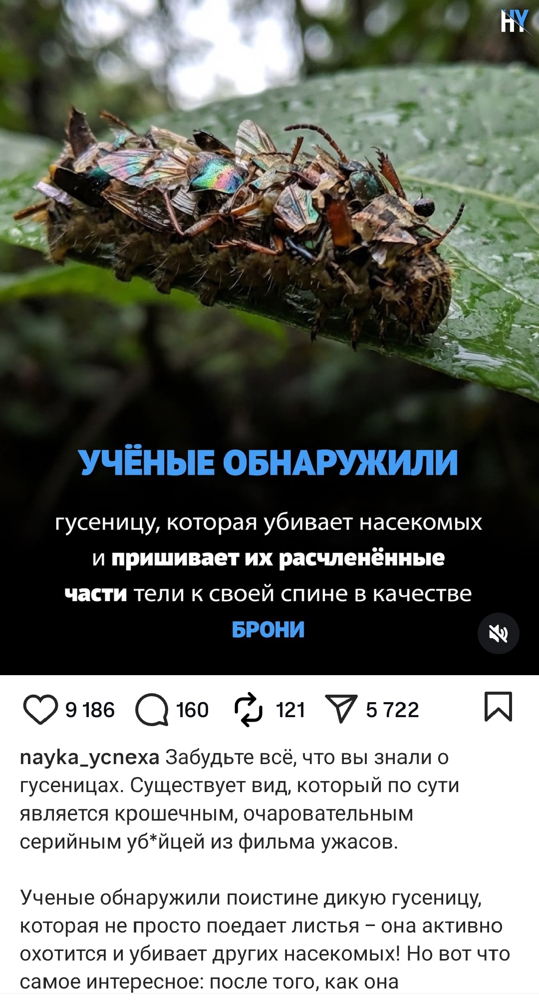 https://upforme.ru/uploads/001c/87/08/3/756731.jpg