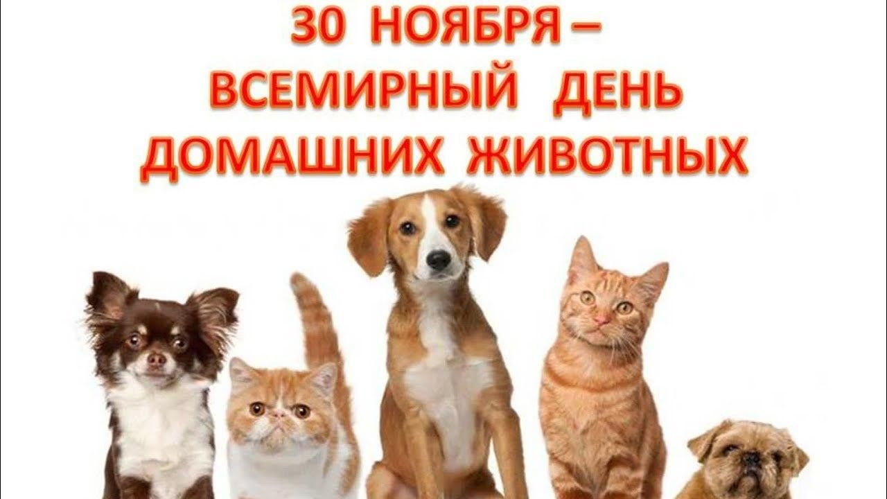 https://upforme.ru/uploads/001c/87/08/3/758949.jpg