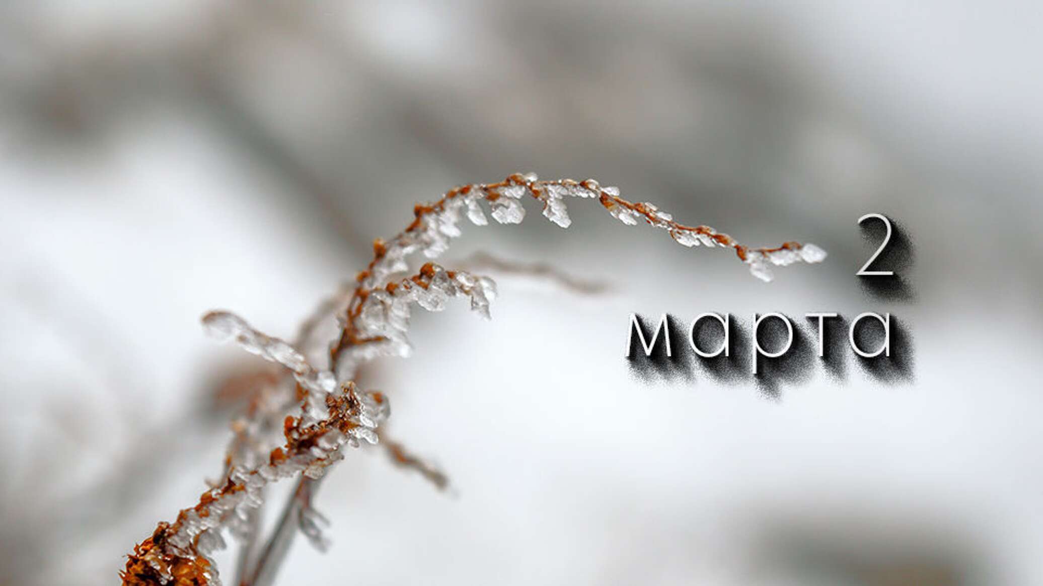 https://upforme.ru/uploads/001c/87/08/3/761092.jpg