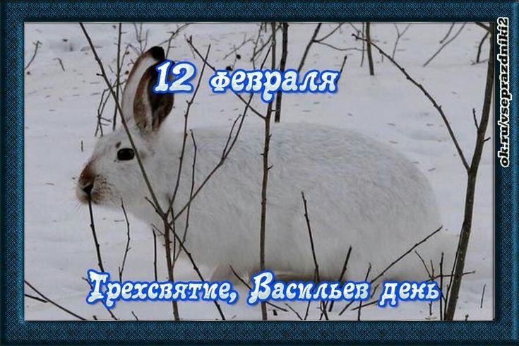 https://upforme.ru/uploads/001c/87/08/3/766713.jpg