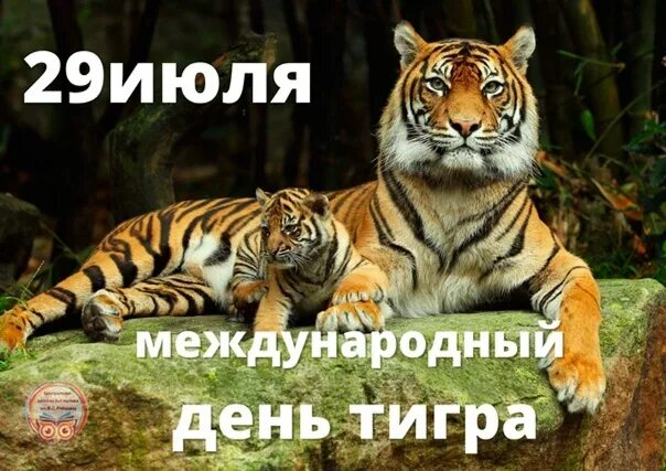 https://upforme.ru/uploads/001c/87/08/3/76889.jpg
