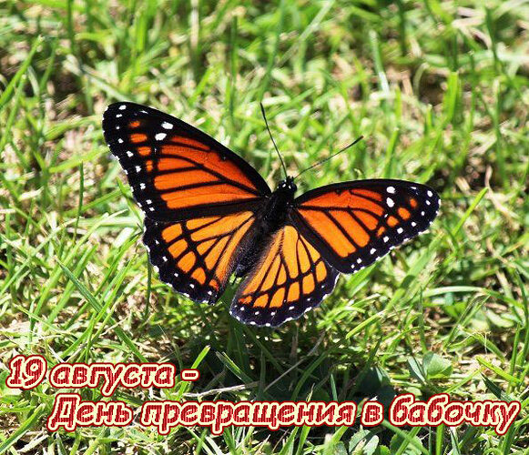 https://upforme.ru/uploads/001c/87/08/3/770137.jpg