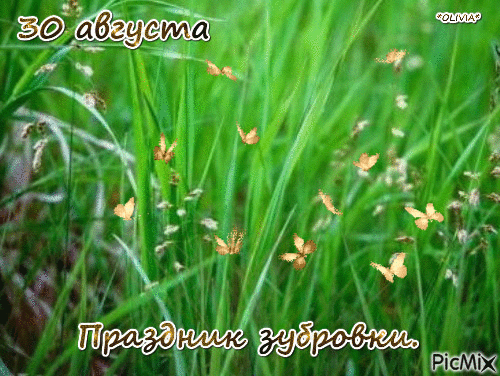 https://upforme.ru/uploads/001c/87/08/3/772088.gif