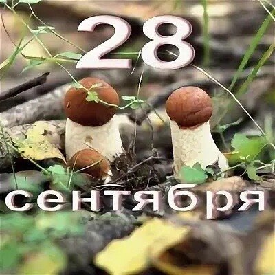 https://upforme.ru/uploads/001c/87/08/3/773029.jpg