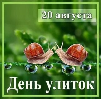 https://upforme.ru/uploads/001c/87/08/3/775495.jpg