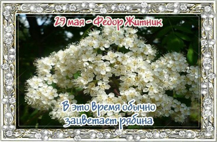 https://upforme.ru/uploads/001c/87/08/3/777851.jpg
