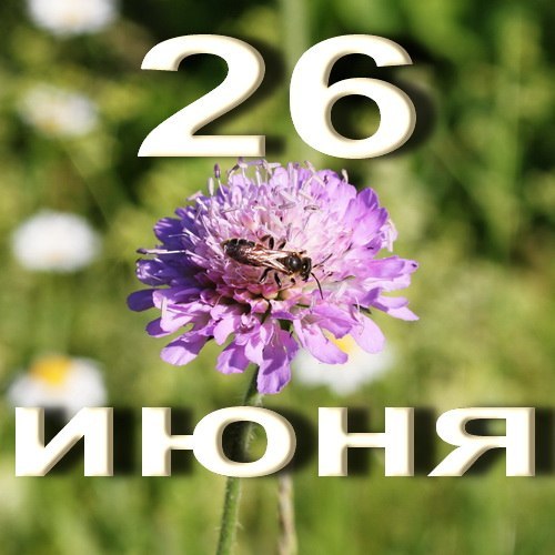 https://upforme.ru/uploads/001c/87/08/3/780760.jpg
