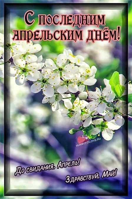 https://upforme.ru/uploads/001c/87/08/3/78289.jpg
