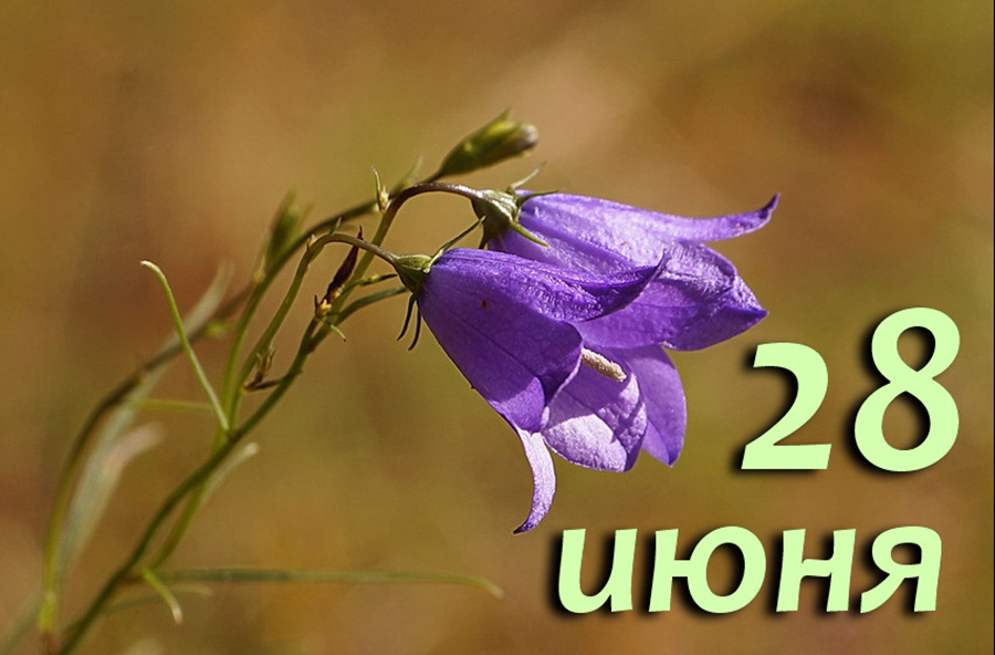 https://upforme.ru/uploads/001c/87/08/3/784501.jpg