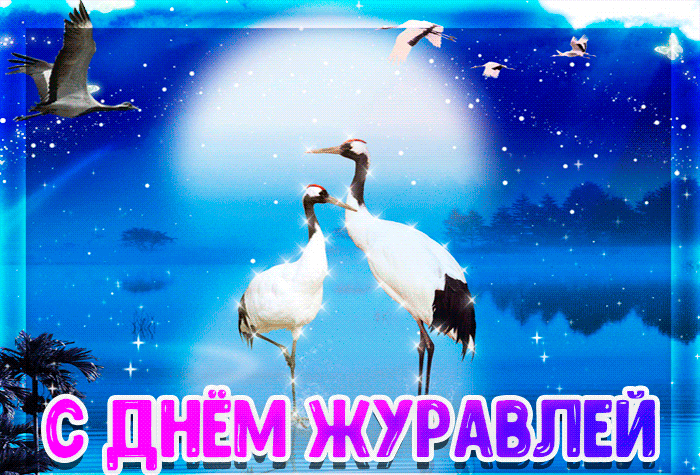 https://upforme.ru/uploads/001c/87/08/3/786694.gif