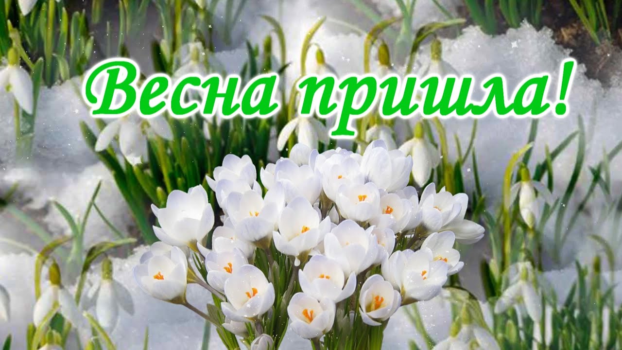 https://upforme.ru/uploads/001c/87/08/3/78937.jpg