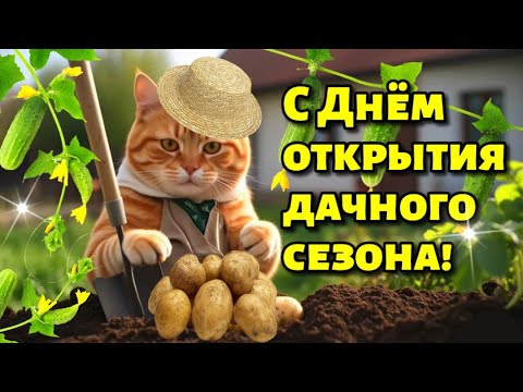 https://upforme.ru/uploads/001c/87/08/3/789552.jpg